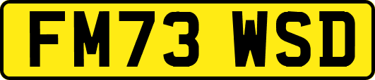 FM73WSD
