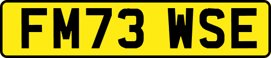 FM73WSE