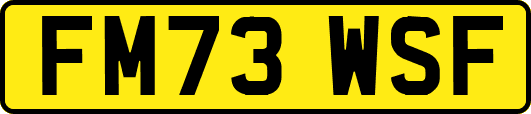 FM73WSF