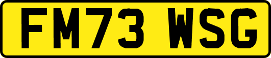 FM73WSG