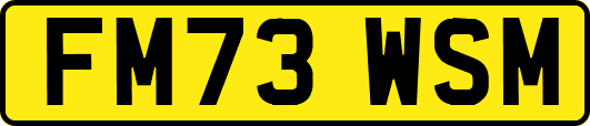 FM73WSM