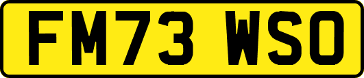 FM73WSO