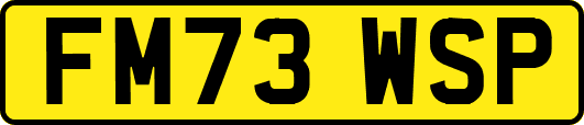FM73WSP