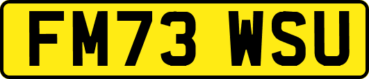 FM73WSU