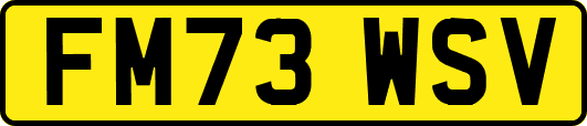 FM73WSV
