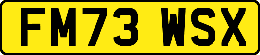 FM73WSX