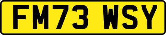 FM73WSY