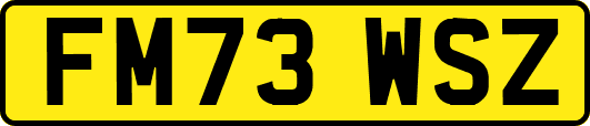 FM73WSZ
