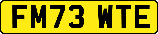 FM73WTE