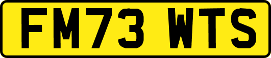 FM73WTS