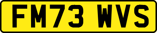 FM73WVS