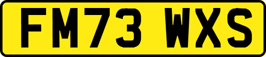 FM73WXS