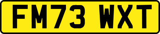 FM73WXT