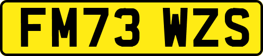 FM73WZS