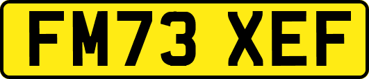 FM73XEF