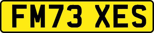 FM73XES
