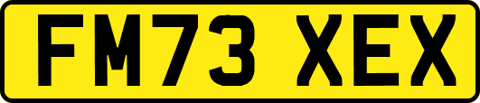 FM73XEX