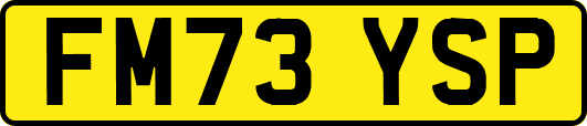 FM73YSP