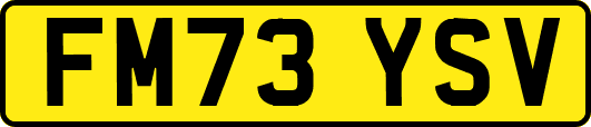 FM73YSV