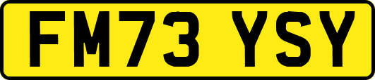 FM73YSY