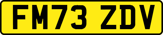FM73ZDV