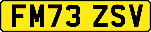 FM73ZSV