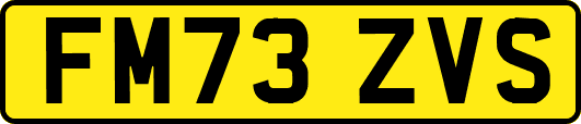 FM73ZVS
