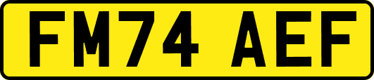 FM74AEF