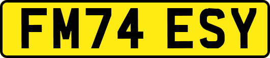 FM74ESY