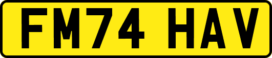 FM74HAV