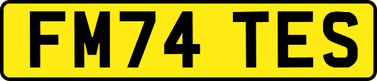 FM74TES