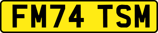 FM74TSM