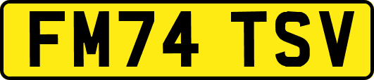 FM74TSV