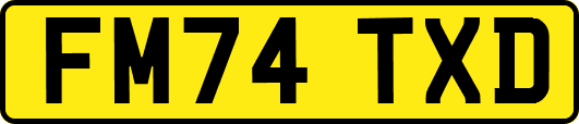FM74TXD