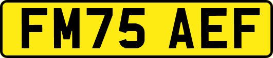 FM75AEF