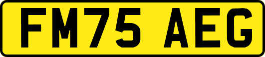 FM75AEG