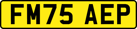 FM75AEP