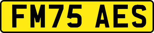 FM75AES