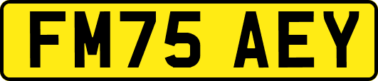 FM75AEY