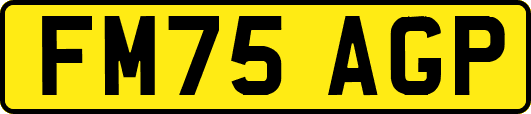 FM75AGP