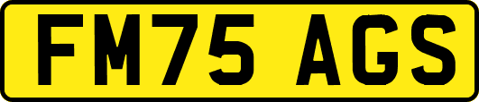 FM75AGS