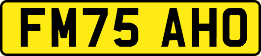 FM75AHO