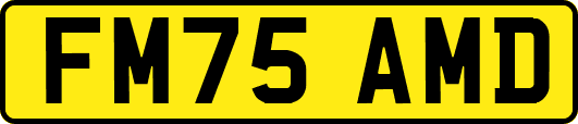 FM75AMD