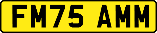 FM75AMM