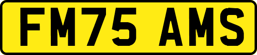 FM75AMS