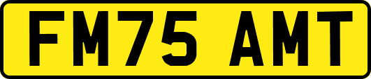 FM75AMT