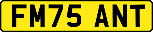 FM75ANT