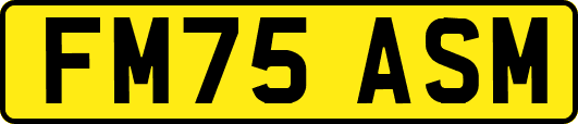 FM75ASM
