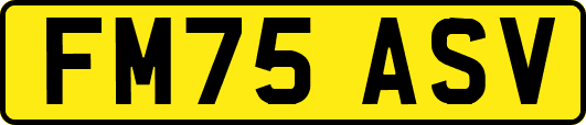 FM75ASV