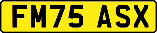 FM75ASX